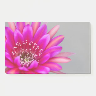 Post-it® Pétales de fleur de cactus rose vif.