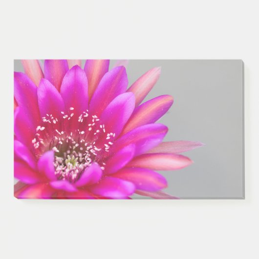 Post-it® Pétales de fleur de cactus rose vif. (Devant)