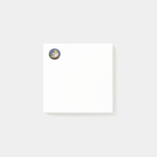 Post-it® Petit Canard Blanc (Devant)