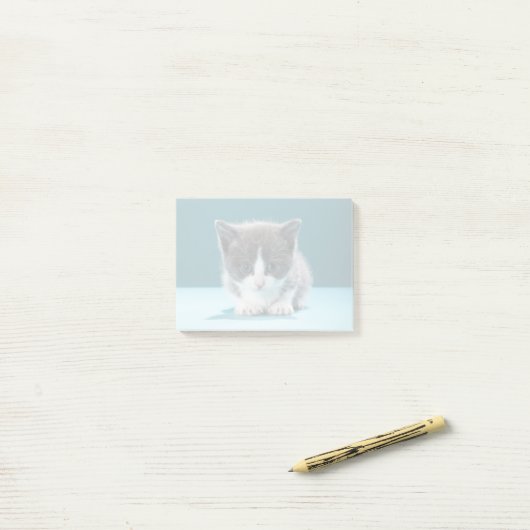 Post-it® Petit chaton (Sur un bureau)