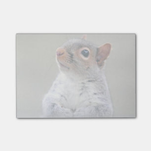 Post-it® Petit écureuil gris mou et pelucheux mignon