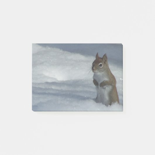 Post-it® Petit écureuil rouge (Devant)