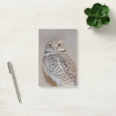 Post-it® Petit hibou (Bureau)