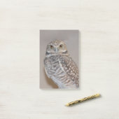 Post-it® Petit hibou (Sur un bureau)