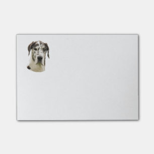 Post-it® Photo de chien de great dane de harlequin