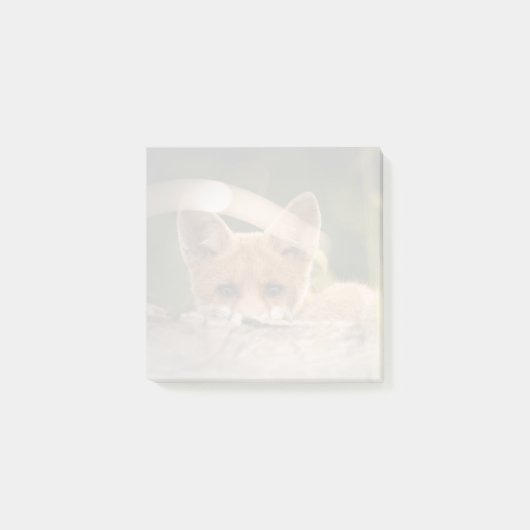 Post-it® Photo de Cute Little Orange Fox (Devant)