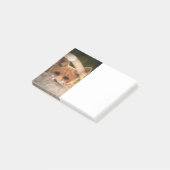 Post-it® Photo de Cute Little Orange Fox (Incliné)