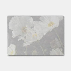 Post-it® Photo d'un lit de fleurs de marguerites blanches e