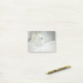 Post-it® Photo d'un magnifique cheval blanc en hiver (Sur un bureau)