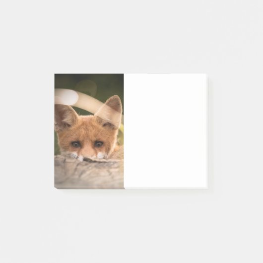 Post-it® Photo d'un petit renard orange mignon (Devant)