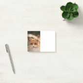 Post-it® Photo d'un petit renard orange mignon (Bureau)