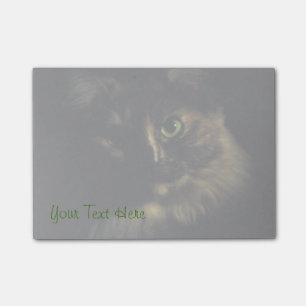 Post-it® Photographie artistique de chat ombreux aux yeux v