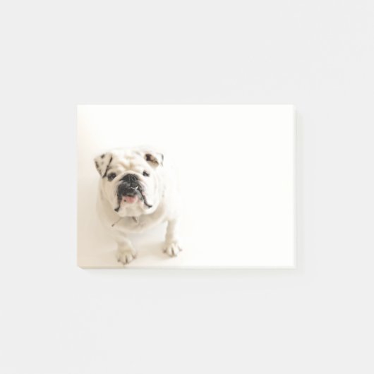 Post-it® Photographie blanche loyale de bouledogue (Devant)