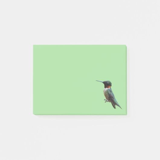 Post-it® Photographie de colibris à gorge rubis (Devant)