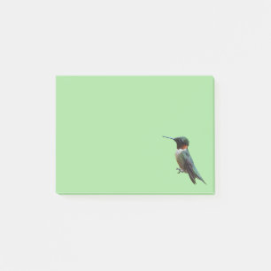 Post-it® Photographie d'oiseau de colibri à gorge rubis