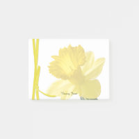 Photographie florale de jonquille jaune