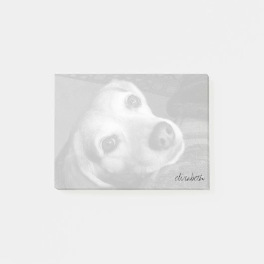 Post-it® Photographie personnalisée pour animaux de compagn (Devant)