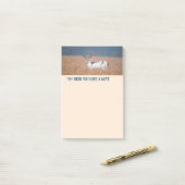 Post-it® Piebald Deer Photo (Sur un bureau)