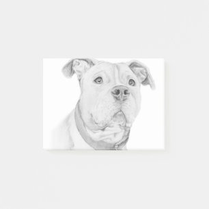 Post-it® Pitbull, mal compris