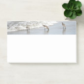 Post-it® Plage Birds in the Surf 10x6 Notes (Bureau)