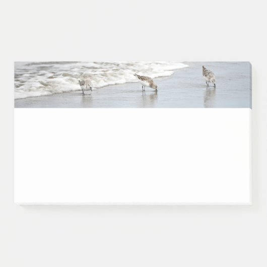 Post-it® Plage Birds in the Surf 10x6 Notes (Devant)