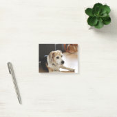 Post-it® Plan rapproché de chiot sain de beagle (Bureau)