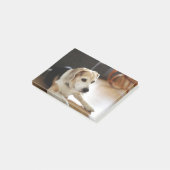 Post-it® Plan rapproché de chiot sain de beagle (Incliné)