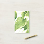 Post-it® Plante de ficus 2 (Sur un bureau)
