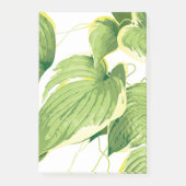 Post-it® Plante de ficus 2 (Devant)