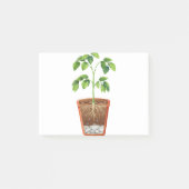Post-it® Plante en pot (Devant)