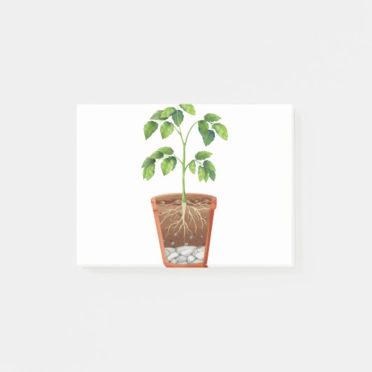 Post-it® Plante en pot (Devant)