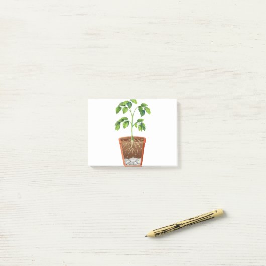 Post-it® Plante en pot (Sur un bureau)