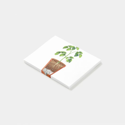 Post-it® Plante en pot (Incliné)