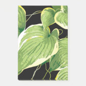Post-it® Plante Ficus 3 (Devant)