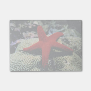 Post-it® Poisson étoilé Mer Rouge