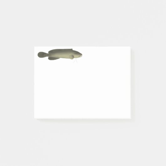 Post-it® Poisson noir de rivière Imprimer, papier d'affiche (Devant)