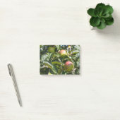 Post-it® Pommes mûrissant sur un pommier (Bureau)
