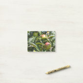Post-it® Pommes mûrissant sur un pommier (Sur un bureau)
