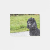 Post-it® Poodle noir 2 (Devant)