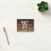 Post-it® Porc mignon doux (Bureau)