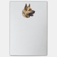 Portrait alsacien de berger allemand