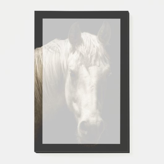 Post-it® Portrait de cheval VI (Devant)