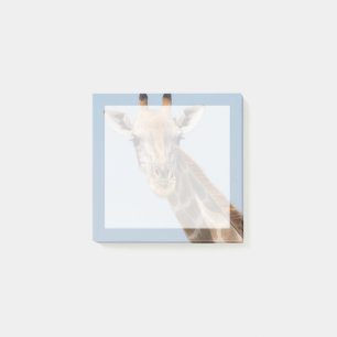 Post-it® Portrait de girafe angolais
