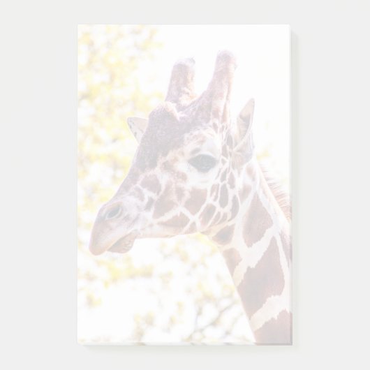 Post-it® Portrait de Giraffe (Devant)