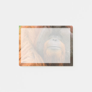 Post-it® Portrait de mâle orang-outan, Géorgie, États-Unis