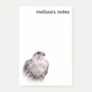 Post-it® Portrait signé d'un faucon de Saker curieux