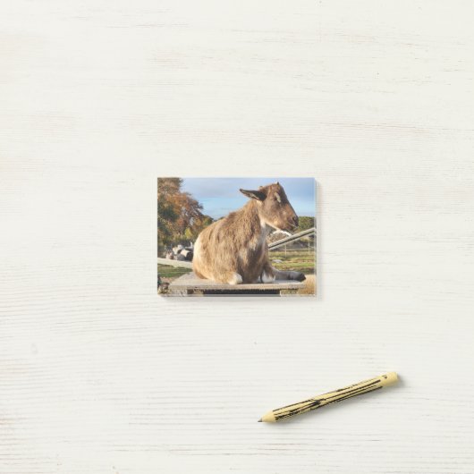 Post-it® Post-It Notes "Chèvre" (Sur un bureau)