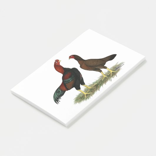 Post-it® Poules Aseel Black Red (Incliné)