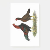 Post-it® Poules Aseel Black Red (Devant)