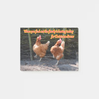 Poulet et coq drôles Memes avec des images drôles